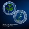 Cold Plunge Body Wash - Image 5